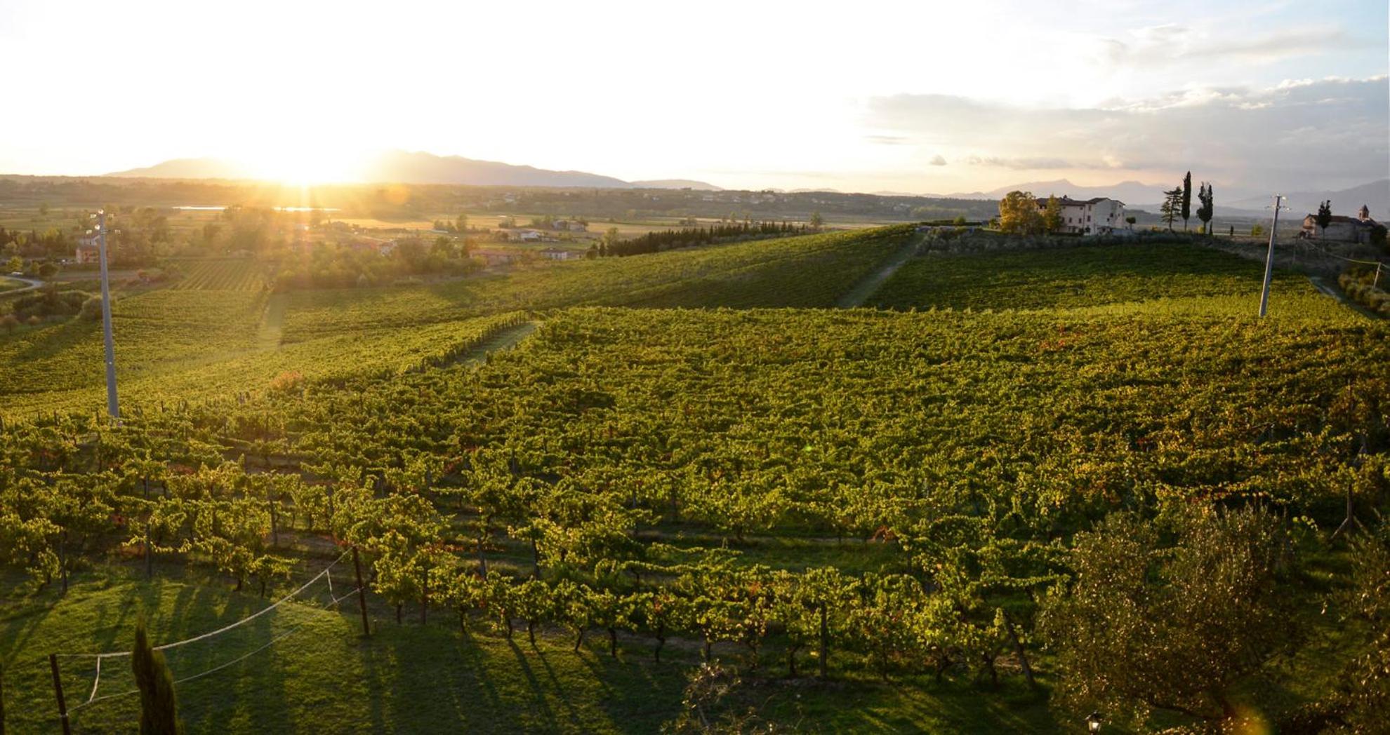 Agriturismo Corte In Poggio Stabbia Екстериор снимка