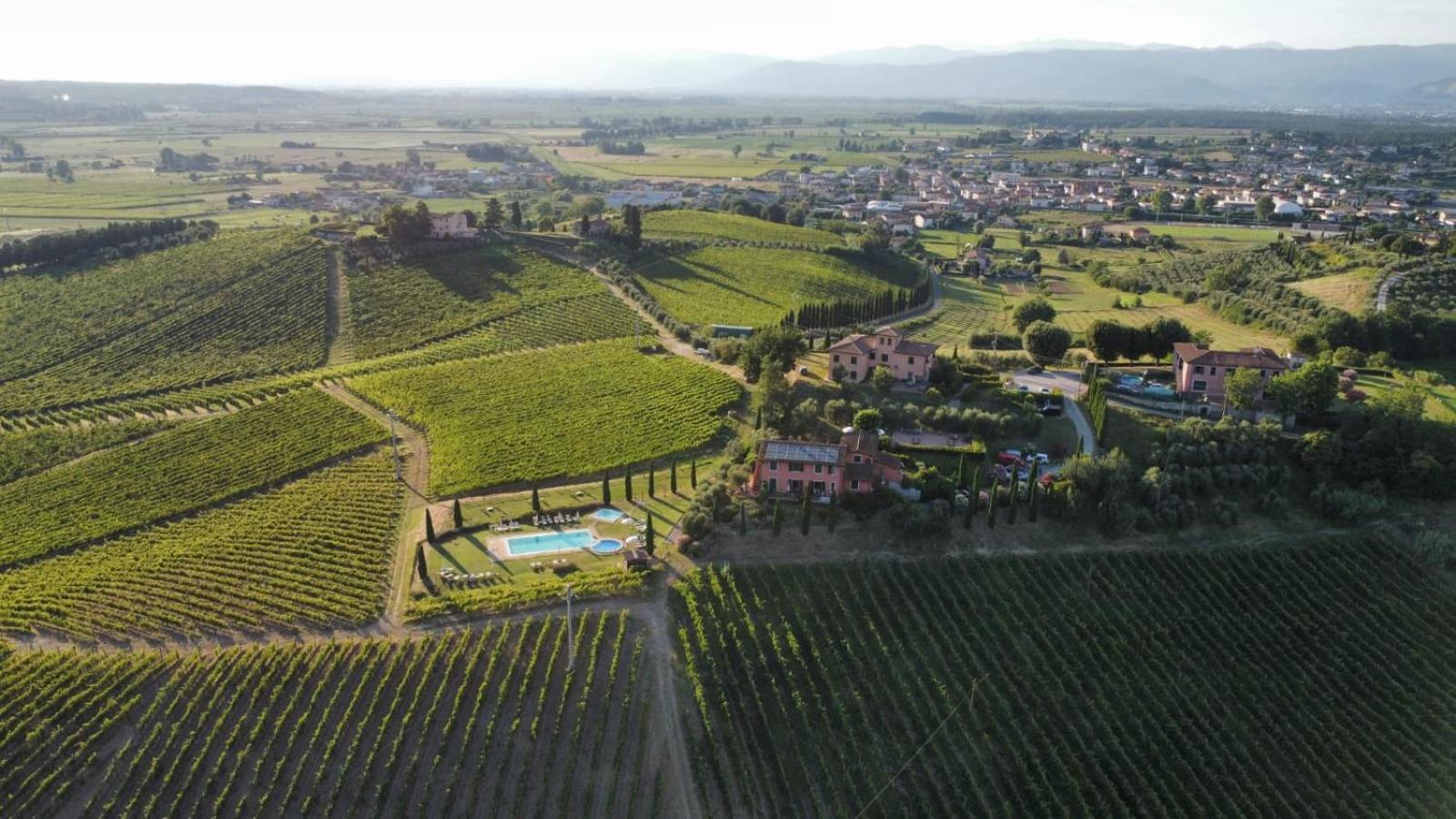 Agriturismo Corte In Poggio Stabbia Екстериор снимка